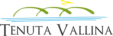 Logo.