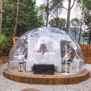 Bubble Room.