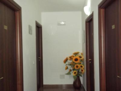 Indoor corridor with dark wooden doors and a decorative vase filled with yellow sunflowers.