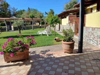 Well-kept garden and flower beds in a green and sunny environment.